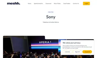 Preview of the Sony Case Study