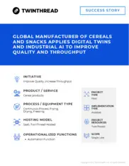 Preview of the Global Manufacturer of Cereals and Snacks Case Study