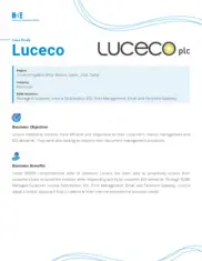 Preview of the Luceco Case Study