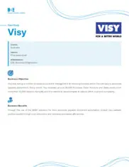 Preview of the VISY Case Study