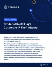 Preview of the Fortune 500 Company Case Study