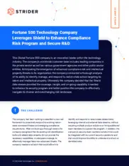 Preview of the Global Fortune 500 Company Case Study