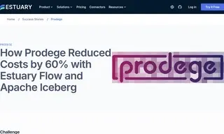 Preview of the Prodege Case Study