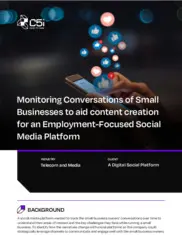 Preview of the Digital Social Company Case Study