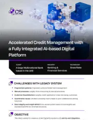 Preview of the Large Multinational Bank Case Study