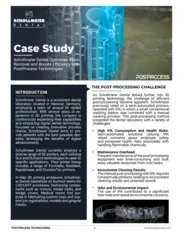 Preview of the Schollmeier Dental Case Study