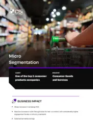 Preview of the Top 3 Consumer Products Company Case Study