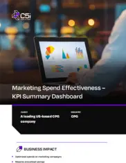 Preview of the Leading US-Based CPG Company Case Study