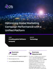 Preview of the Leading Global Software Company Case Study