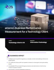 Preview of the Large US Technology Company Case Study