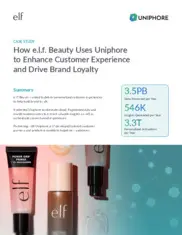 Preview of the e.l.f. Cosmetics Case Study