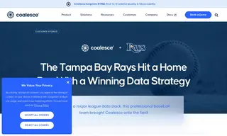 Preview of the Tampa Bay Rays Case Study