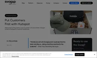 Preview of the HubSpot Case Study