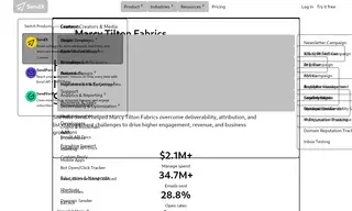 Preview of the Marcy Tilton Fabrics Case Study