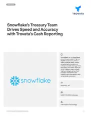 Preview of the Snowflake Case Study