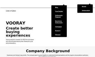 Preview of the Vooray Case Study