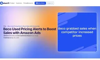 Preview of the Beco Case Study