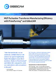 Preview of the MUT-Tschamber Case Study