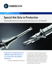 Preview of the Rieco System Srl Case Study