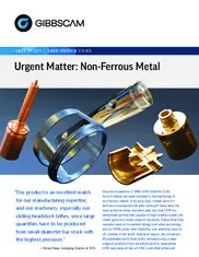 Preview of the SAFA GmbH & Co.KG Case Study