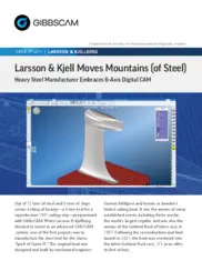 Preview of the Larsson & Kjellberg Case Study