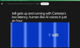 Preview of the telli Case Study