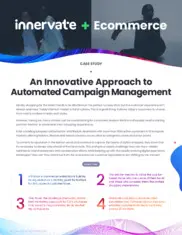 Preview of the Leading eCommerce Brand Case Study