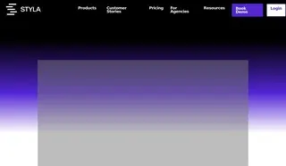 Preview of the Brass Butterfly Case Study