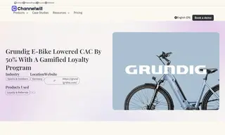 Preview of the Grundig Case Study