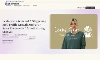 Preview of the Leah Gems Case Study