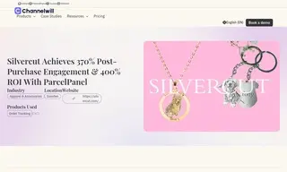 Preview of the Silvercut Case Study