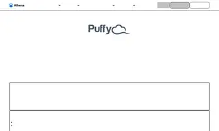 Preview of the Puffy Case Study