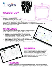 Preview of the Diptyque Case Study