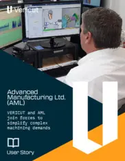 Preview of the Advanced Manufacturing Ltd. (AML) Case Study