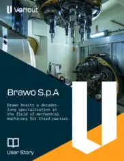 Preview of the Brawo S.p.A Case Study