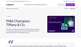 Preview of the Tiffany & Co. Case Study