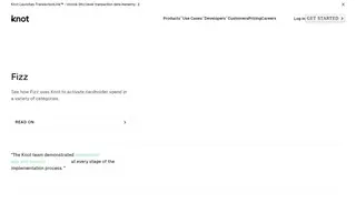 Preview of the Fizz Case Study