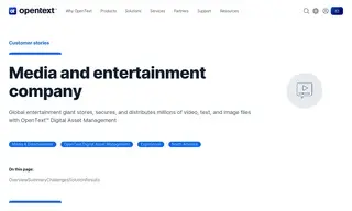 Preview of the Media and Entertainment Company Case Study