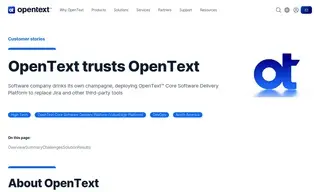 Preview of the Large Software Company Case Study