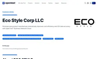 Preview of the Eco Style Corp Case Study
