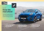 Preview of the Ford of Europe Case Study