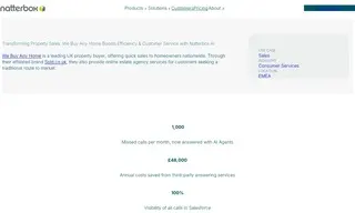 Preview of the We Buy Any Home Case Study