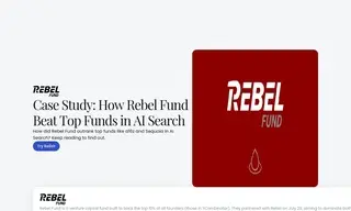 Preview of the Rebel Fund Case Study