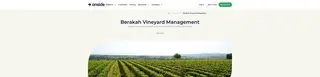 Preview of the Berakah Vineyard Management Case Study