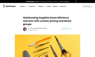 Preview of the Hairdressing Supplies Case Study