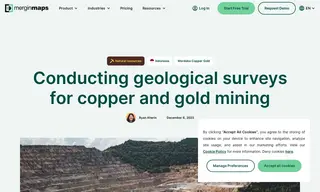 Preview of the Merdeka Copper Gold Case Study