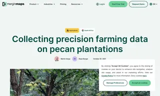 Preview of the Large Pecan Farm Case Study