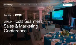 Preview of the tesa Case Study