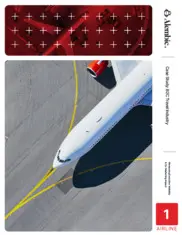 Preview of the Fortune 500 Airline Case Study