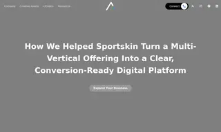 Preview of the Sportskin Case Study